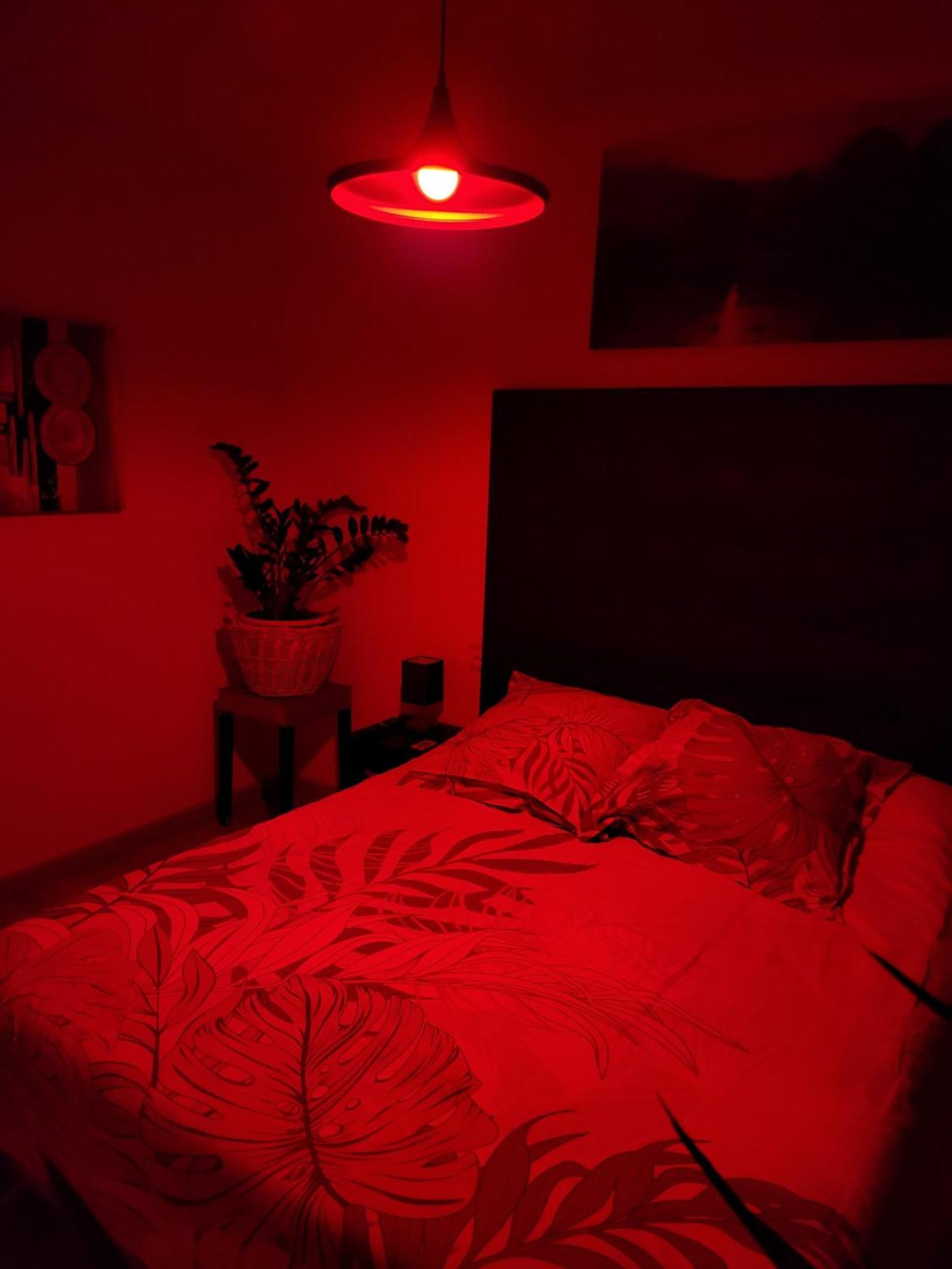 Apartamento Vallfogona Relax Santa Bárbara Dış mekan fotoğraf